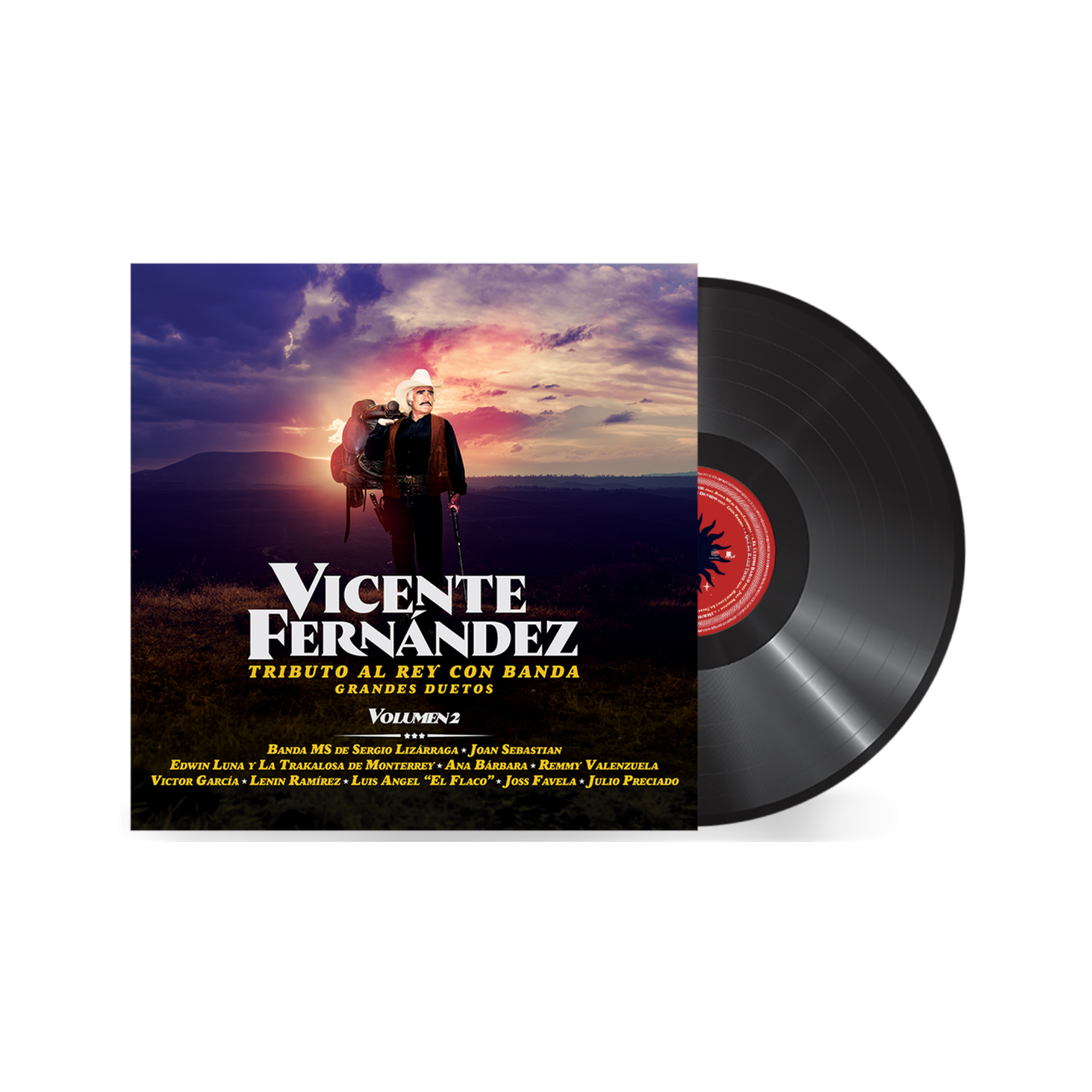 Tributo al Rey con Banda (Grandes Duetos) Vol. 2 - Vicente Fernández (Vinyl)